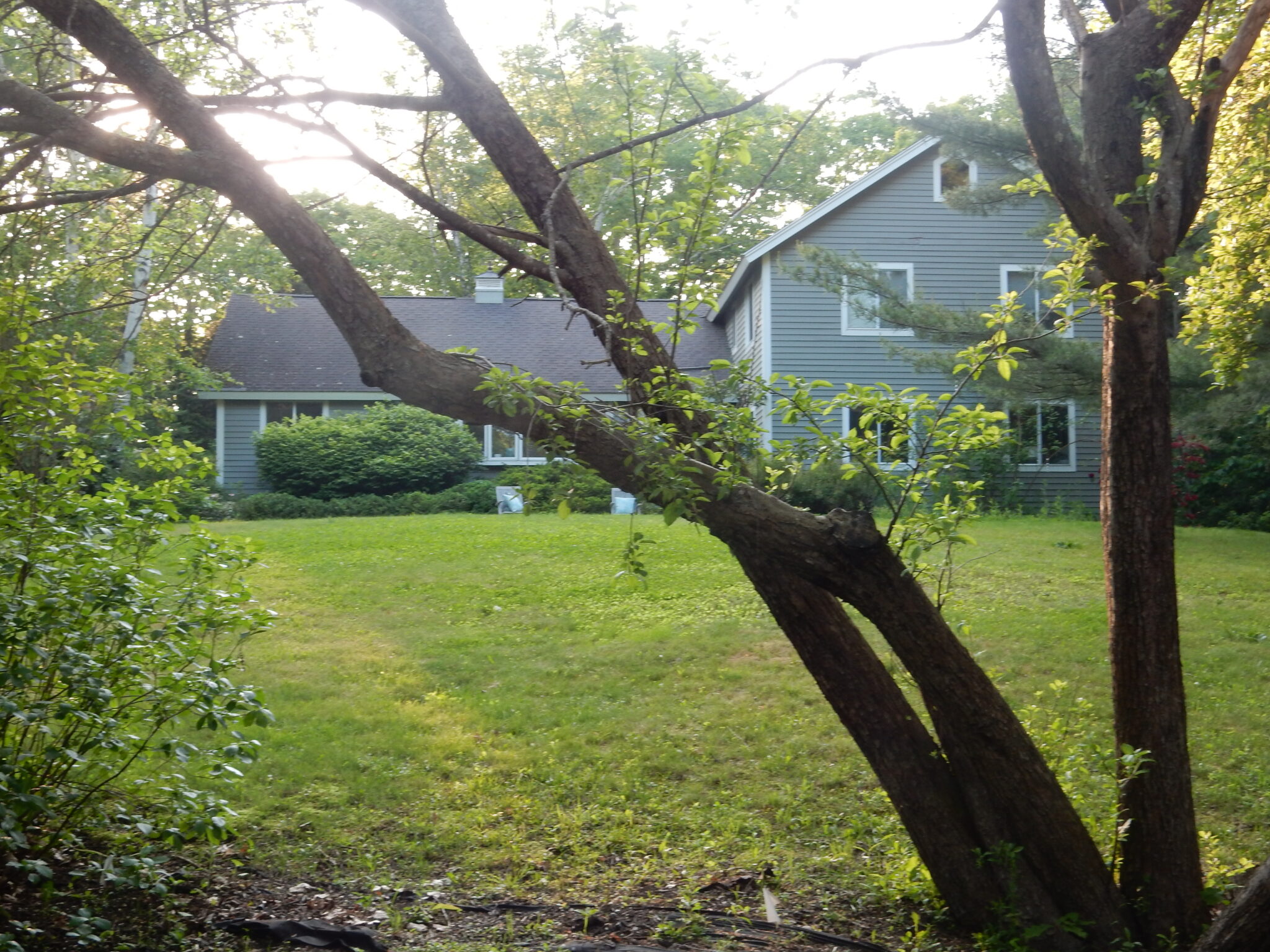 ケープエリザベスでAirbnb | CABOT COVE キャボットコーヴ | CABOT COVE キャボットコーヴ