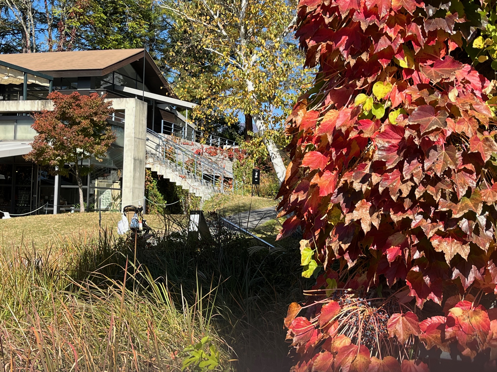 11月~3月はAM8:00開店となります。 | CABOT COVE キャボットコーヴ | CABOT COVE キャボットコーヴ